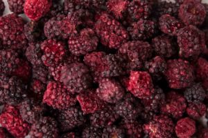 Freeze dried whole blackberries